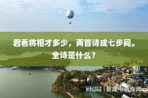 君看将相才多少，两首诗成七步间。全诗是什么？