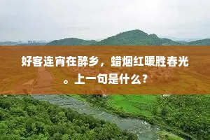 好客连宵在醉乡，蜡烟红暖胜春光。上一句是什么？