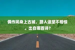 偶作闲身上古城，路人遥望不相惊。出自哪首诗？