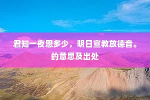 君知一夜恩多少，明日宣教放德音。的意思及出处