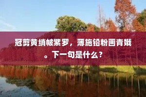 冠剪黄绡帔紫罗，薄施铅粉画青娥。下一句是什么？
