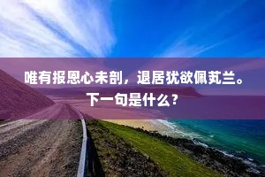 唯有报恩心未剖，退居犹欲佩芄兰。下一句是什么？