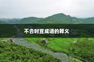 不合时宜成语的释义