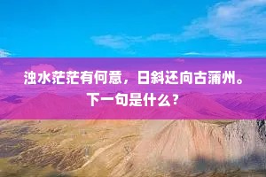 浊水茫茫有何意，日斜还向古蒲州。下一句是什么？