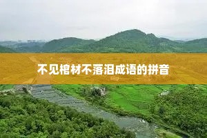 不见棺材不落泪成语的拼音