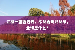 江楼一望西归去，不负嘉州只负身。全诗是什么？