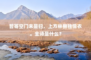 暂寄空门未是归，上方林榭独儒衣。全诗是什么？