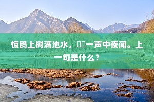 惊鸥上树满池水，瀺灂一声中夜闻。上一句是什么？