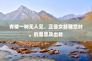 青楼一树无人见，正是女郎眠觉时。的意思及出处