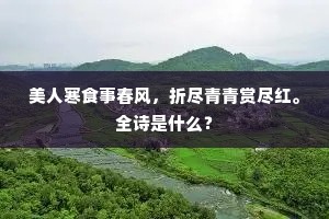 美人寒食事春风，折尽青青赏尽红。全诗是什么？