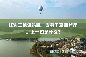 终凭二顷谋婚嫁，谬著千篇断斧斤。上一句是什么？