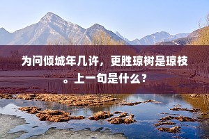 为问倾城年几许，更胜琼树是琼枝。上一句是什么？