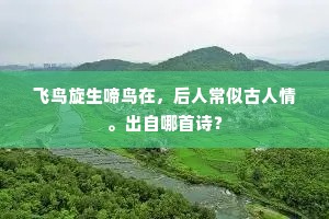 飞鸟旋生啼鸟在，后人常似古人情。出自哪首诗？