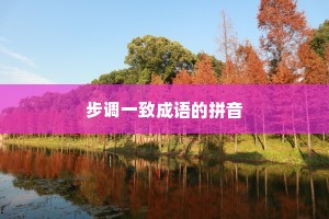 步调一致成语的拼音