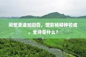 闲想更逢知旧否，馆前杨柳种初成。全诗是什么？