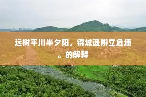 远树平川半夕阳，锦城遥辨立危墙。的解释
