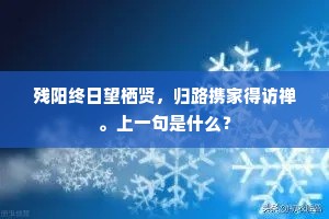 残阳终日望栖贤，归路携家得访禅。上一句是什么？