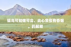 猿鸟可知僧可会，此心常似有香烟。的解释