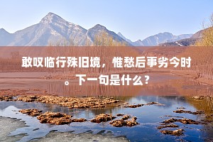 敢叹临行殊旧境，惟愁后事劣今时。下一句是什么？