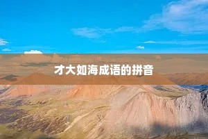 才大如海成语的拼音