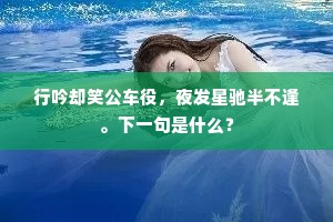 行吟却笑公车役，夜发星驰半不逢。下一句是什么？