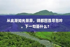 从此渐知光景异，锦都回首尽愁吟。下一句是什么？