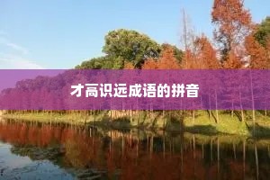 才高识远成语的拼音