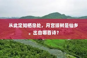 从此定知栖息处，月宫琼树是仙乡。出自哪首诗？