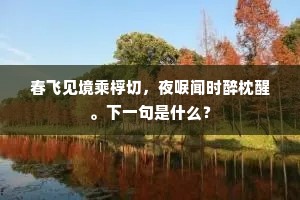 春飞见境乘桴切，夜唳闻时醉枕醒。下一句是什么？