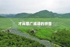 才高意广成语的拼音