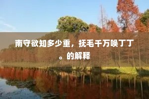 南守欲知多少重，抚毛千万唤丁丁。的解释