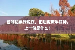 曾啄稻粱残粒在，旧翘泥潦半踪稀。上一句是什么？