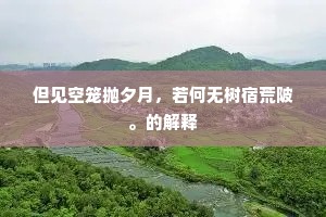 但见空笼抛夕月，若何无树宿荒陂。的解释