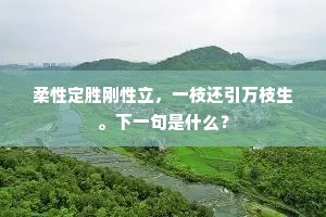 柔性定胜刚性立，一枝还引万枝生。下一句是什么？