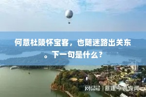 何意杜陵怀宝客，也随迷路出关东。下一句是什么？