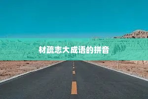 材疏志大成语的拼音
