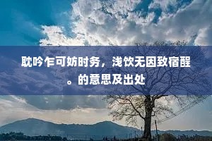 耽吟乍可妨时务，浅饮无因致宿酲。的意思及出处