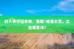 时人欲识征东将，看取欃枪落太荒。出自哪首诗？