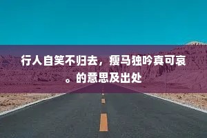 行人自笑不归去，瘦马独吟真可哀。的意思及出处