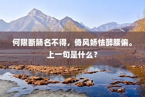 何限断肠名不得，倚风娇怯醉腰偏。上一句是什么？