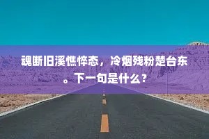 魂断旧溪憔悴态，冷烟残粉楚台东。下一句是什么？