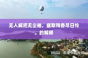 无人解把无尘袖，盛取残香尽日怜。的解释