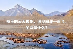 横玉叫云天似水，满空霜逐一声飞。全诗是什么？