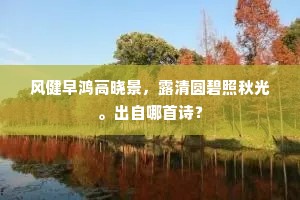 风健早鸿高晓景，露清圆碧照秋光。出自哪首诗？