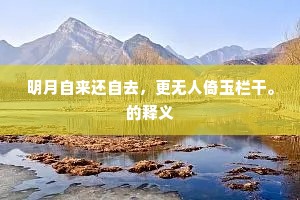 明月自来还自去，更无人倚玉栏干。的释义