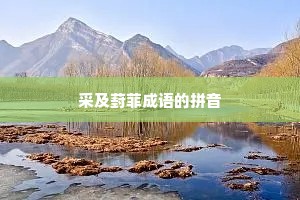 采及葑菲成语的拼音