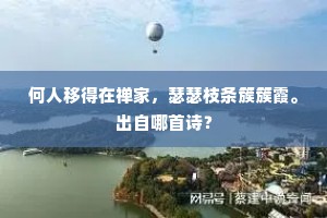 何人移得在禅家，瑟瑟枝条簇簇霞。出自哪首诗？