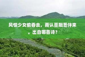 风惊少女偷香去，雨认巫娥觅伴来。出自哪首诗？