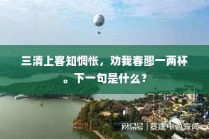 三清上客知惆怅，劝我春醪一两杯。下一句是什么？
