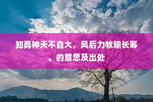 知勇神天不自大，风后力牧输长筹。的意思及出处